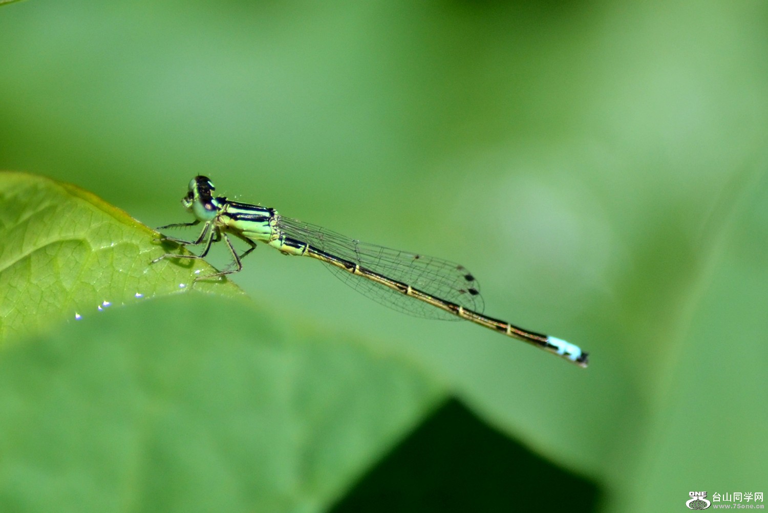 dsc_0034.jpg