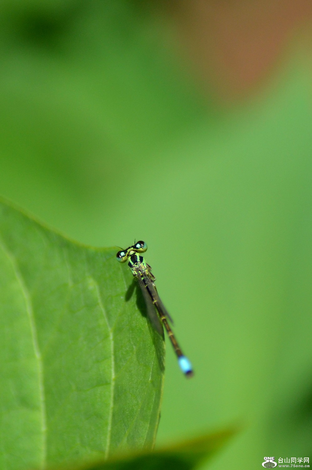 dsc_0014.jpg