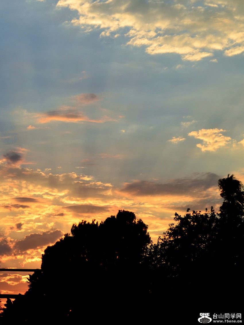 DSC_0545_10.jpg