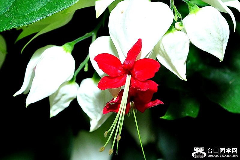 CSC_0415_.jpg