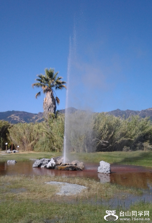 Geyser.PNG