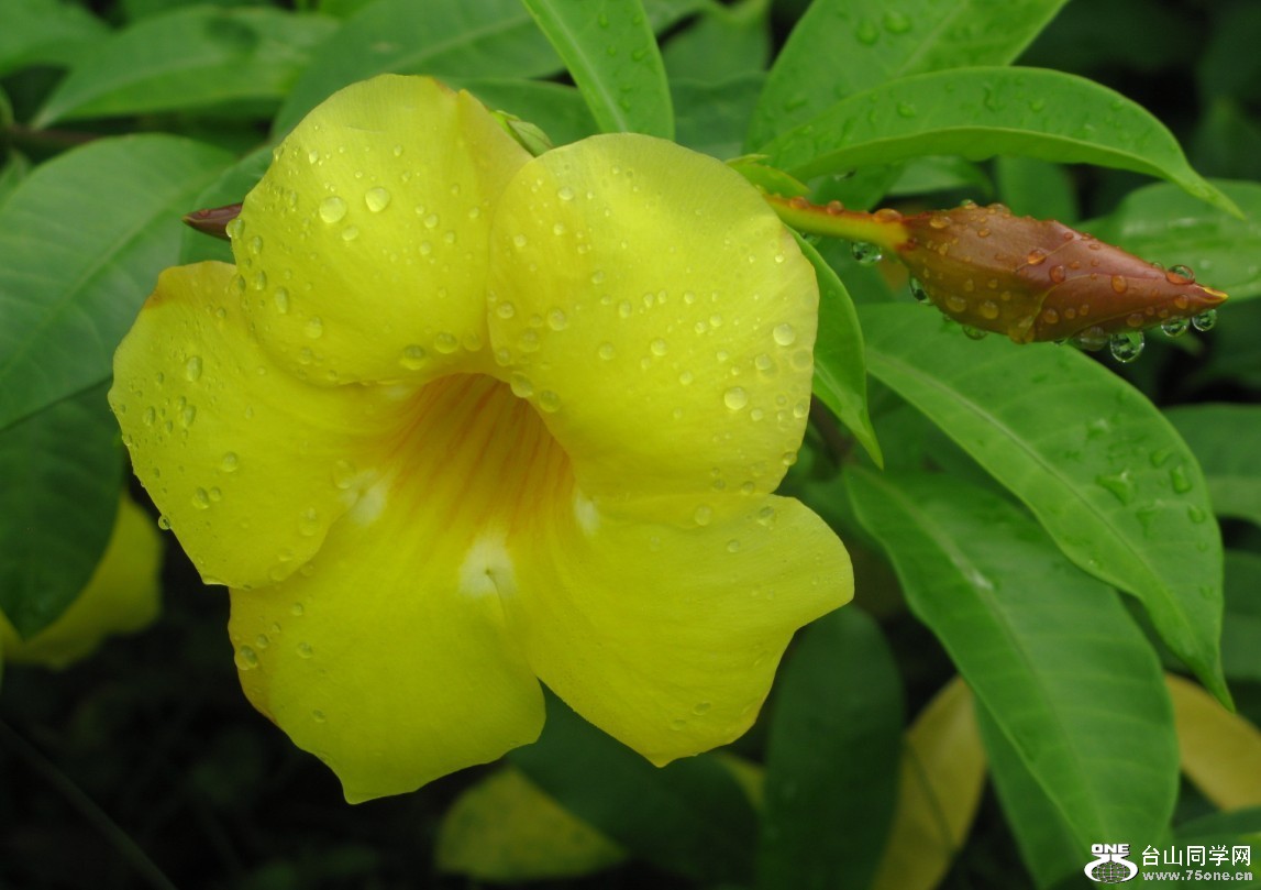 203.jpg