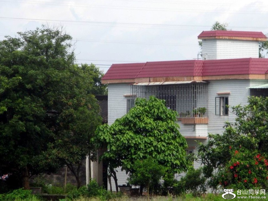171.jpg