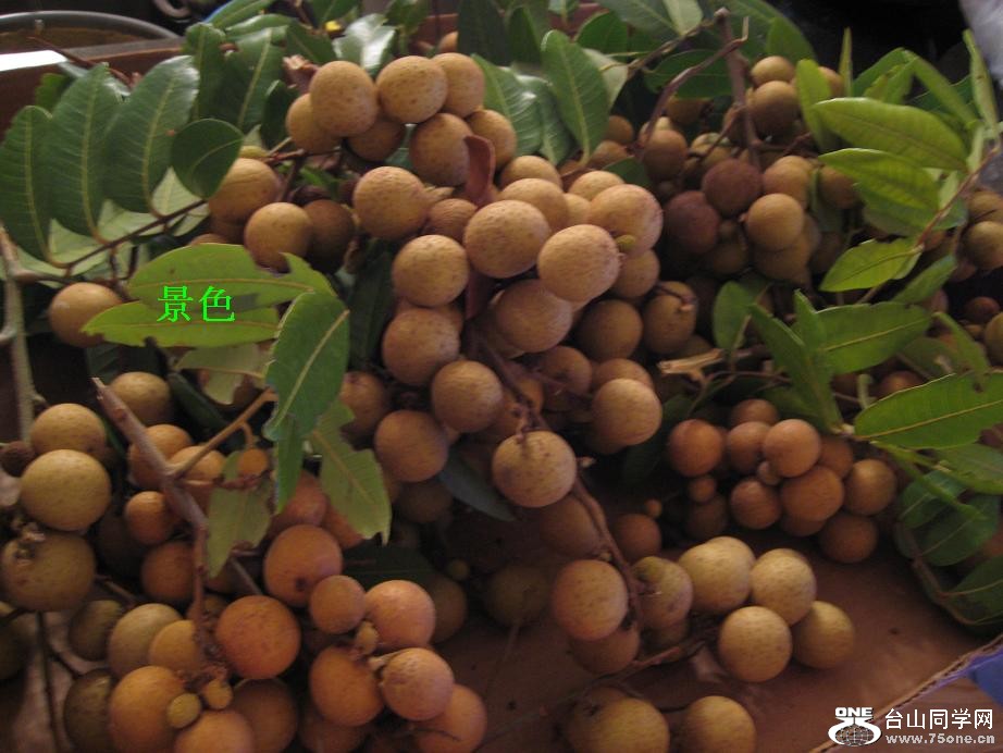 ̩������