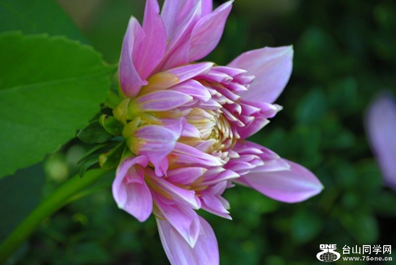 DSC_4999.JPG
