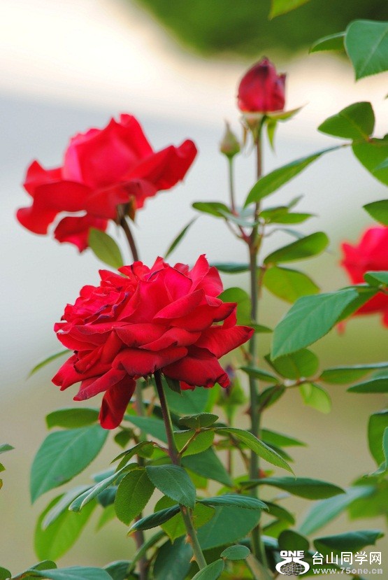 DSC_5682.jpg
