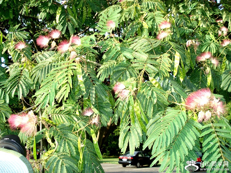 Ŧݸѷ̲&nbsp;&nbsp;8.7.2012 075_.jpg