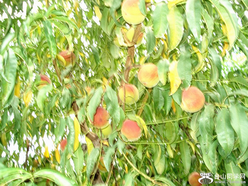 ժƻǑ,ˮ,, 064_.jpg