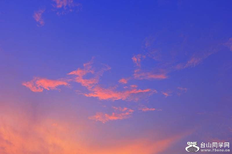 _MG_8990.jpg