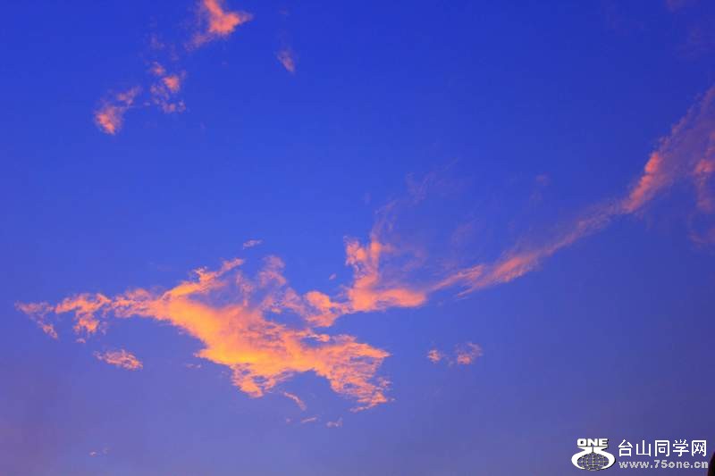 _MG_8982.jpg