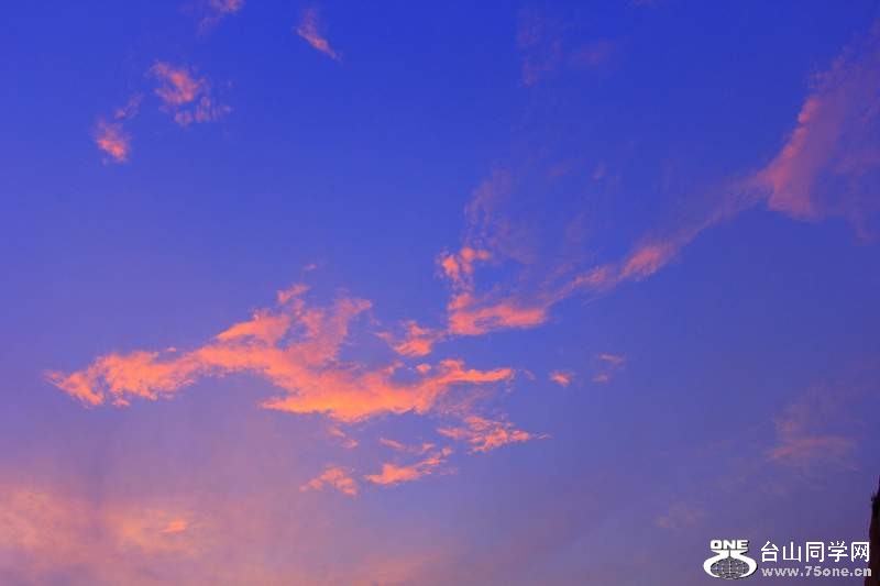 _MG_8984.jpg