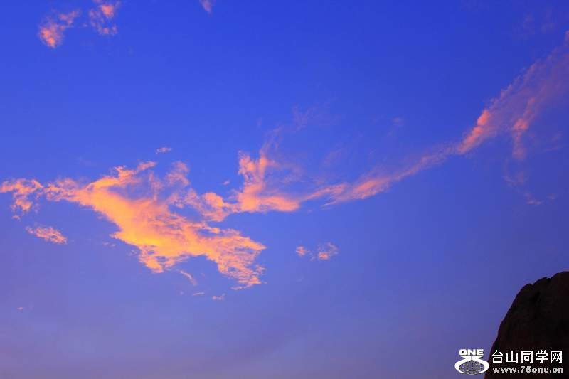 _MG_8981.jpg