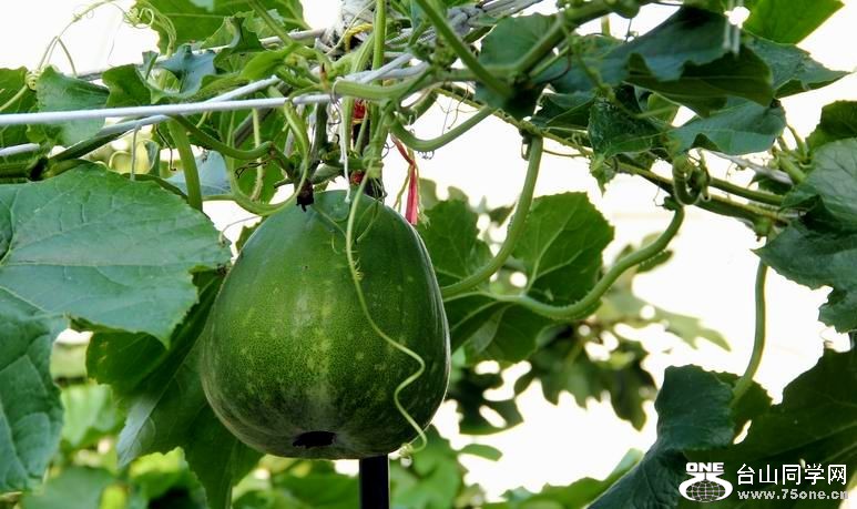 ������С IMG_6949.JPG