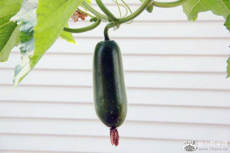 ������С IMG_6956.JPG