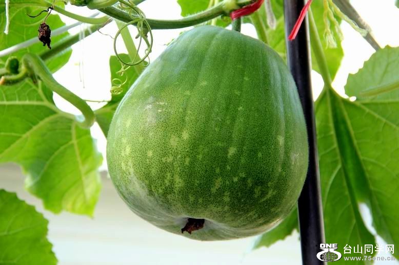 ������С IMG_6955.JPG