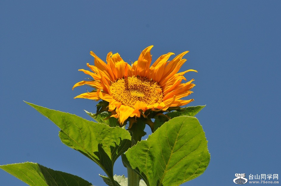 DSC_0122.JPG