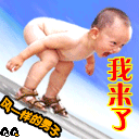 11.gif