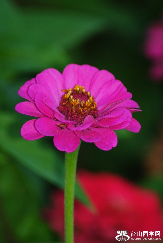 DSC_5663.JPG