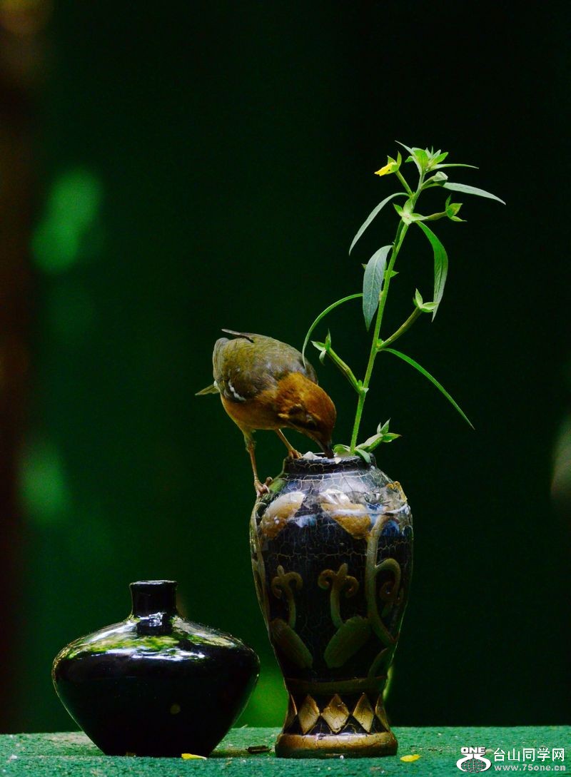 DSC_5820.JPG
