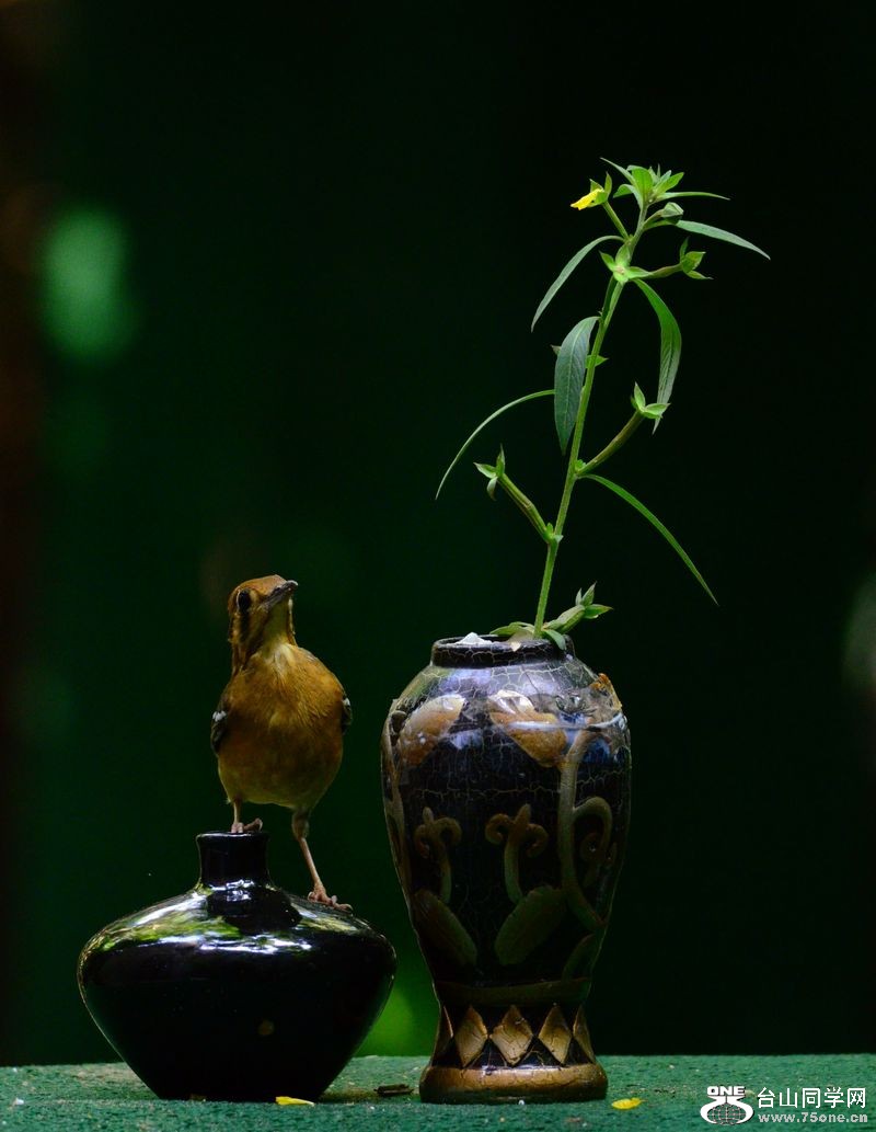 DSC_5773.JPG