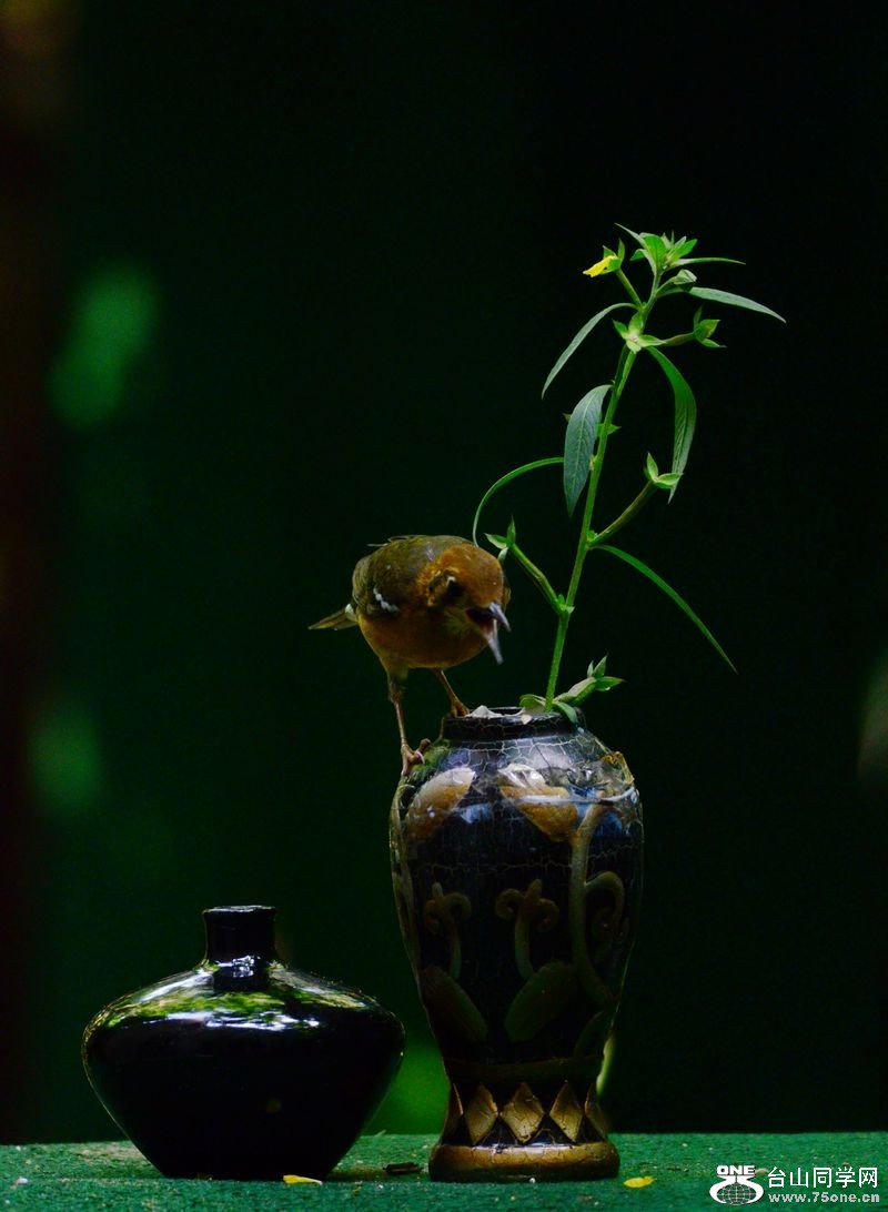 DSC_5816.JPG