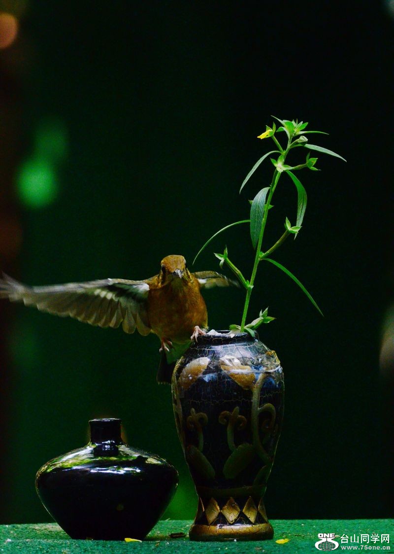 DSC_5914.JPG