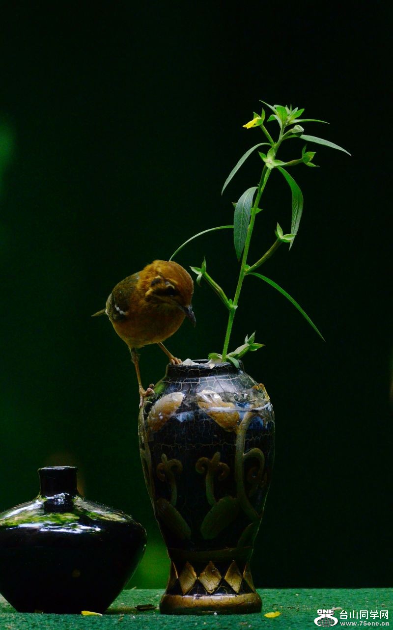 DSC_5843.JPG