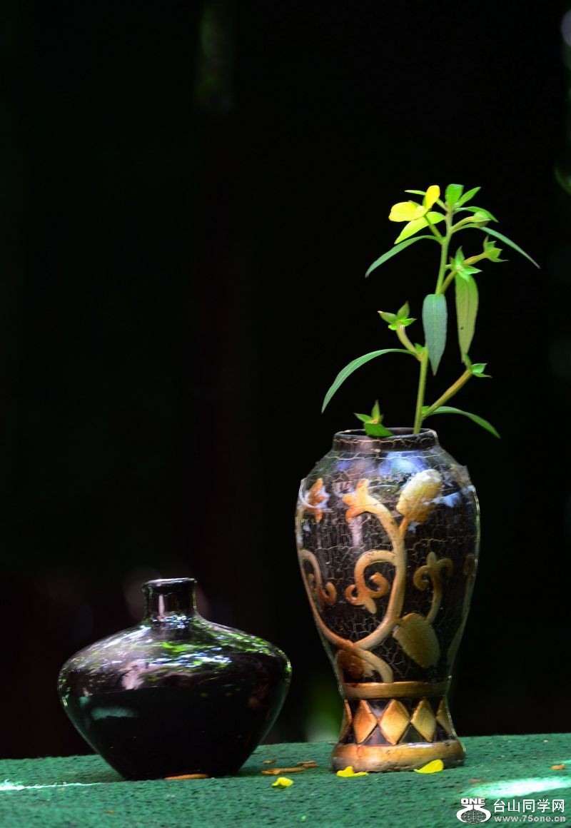 DSC_5684.JPG