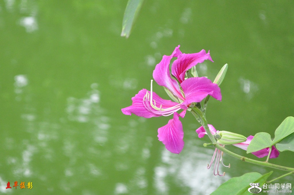 DSC_0179.JPG