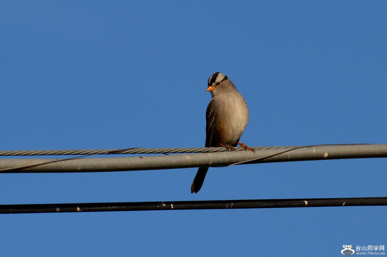 DSC_0033_40.jpg