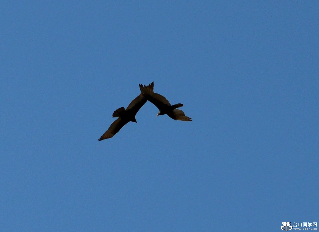 DSC_0088_32.jpg