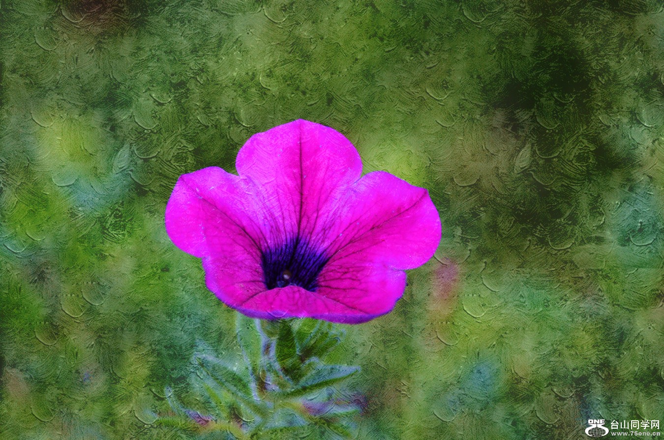 DSC_0066_012.jpg