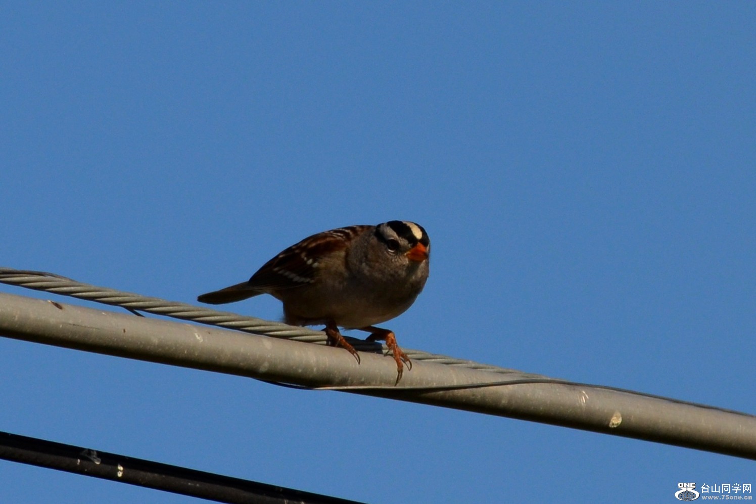 DSC_0034_29.jpg