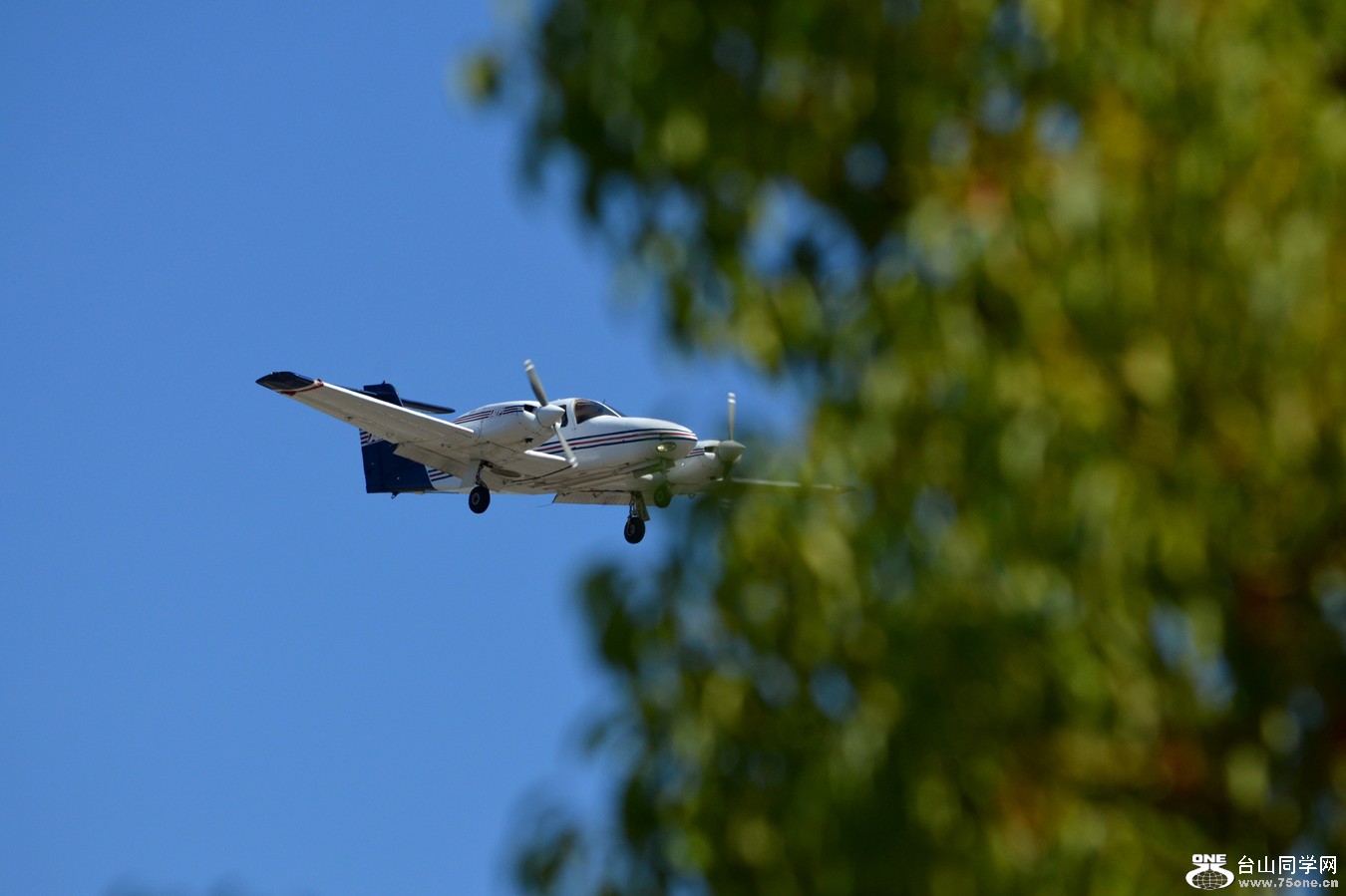 DSC_0062_04.jpg