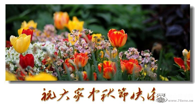 DSC_9974_conew1.jpg