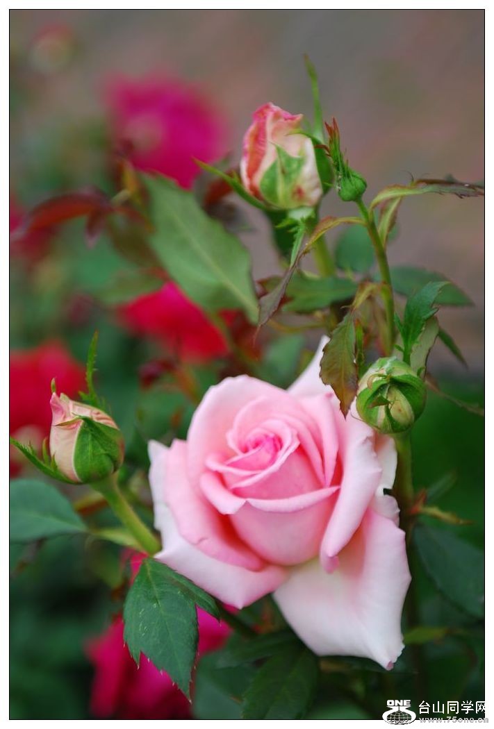 nEO_IMG_DSC_0142.jpg