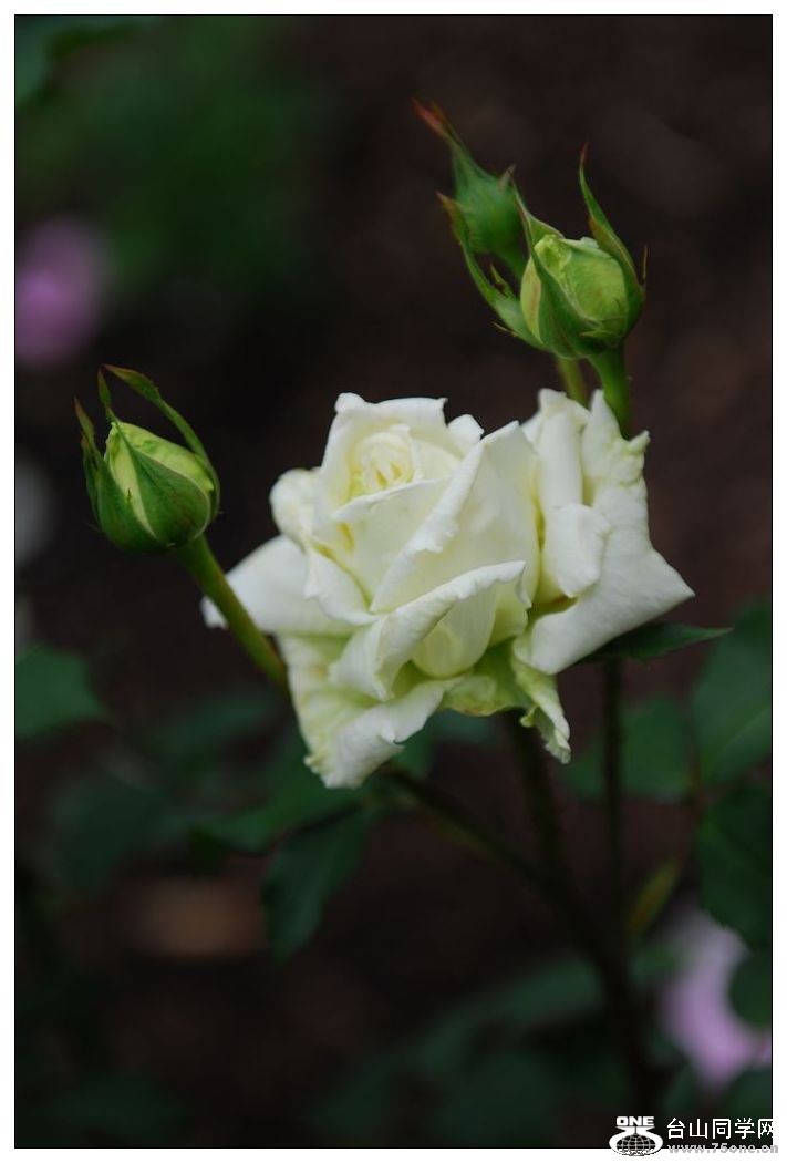 nEO_IMG_DSC_0069.jpg