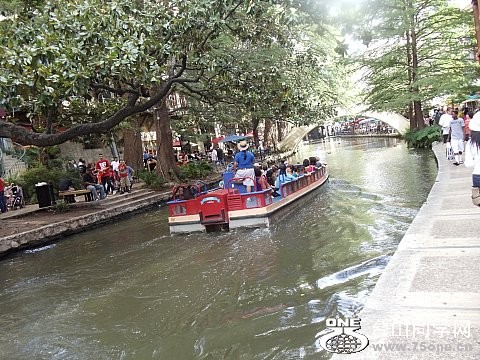 DSC02211.jpg