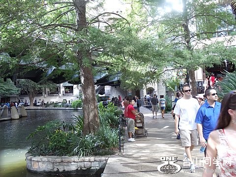 DSC02207.jpg