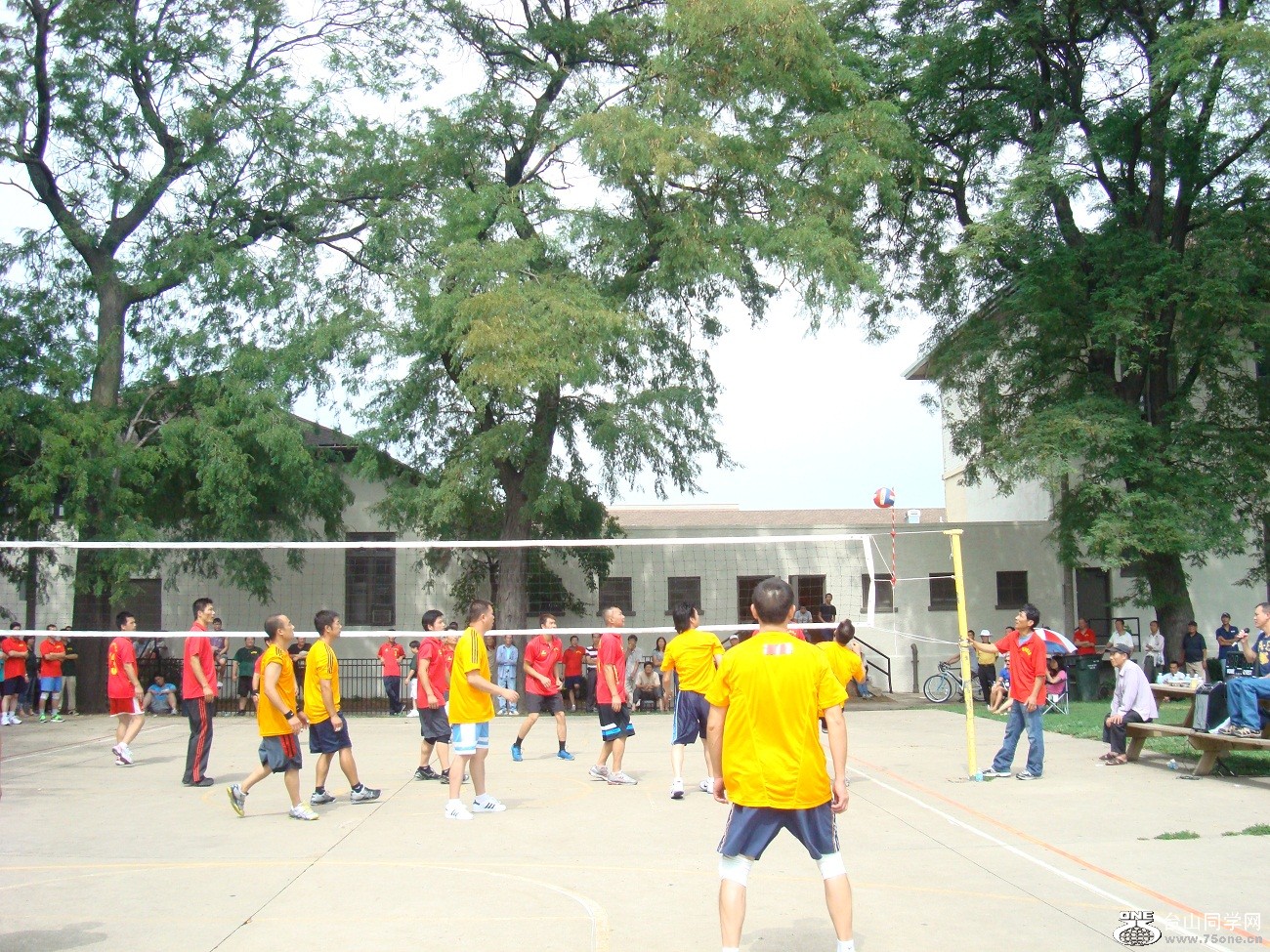 2619.jpg