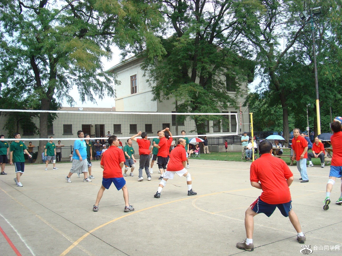 2626.jpg