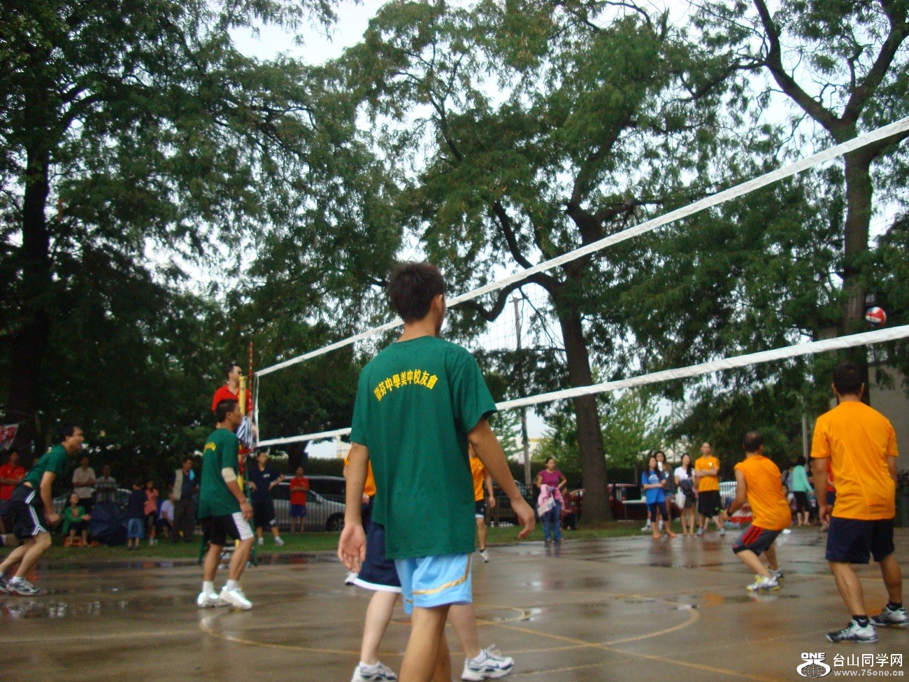 2529.jpg