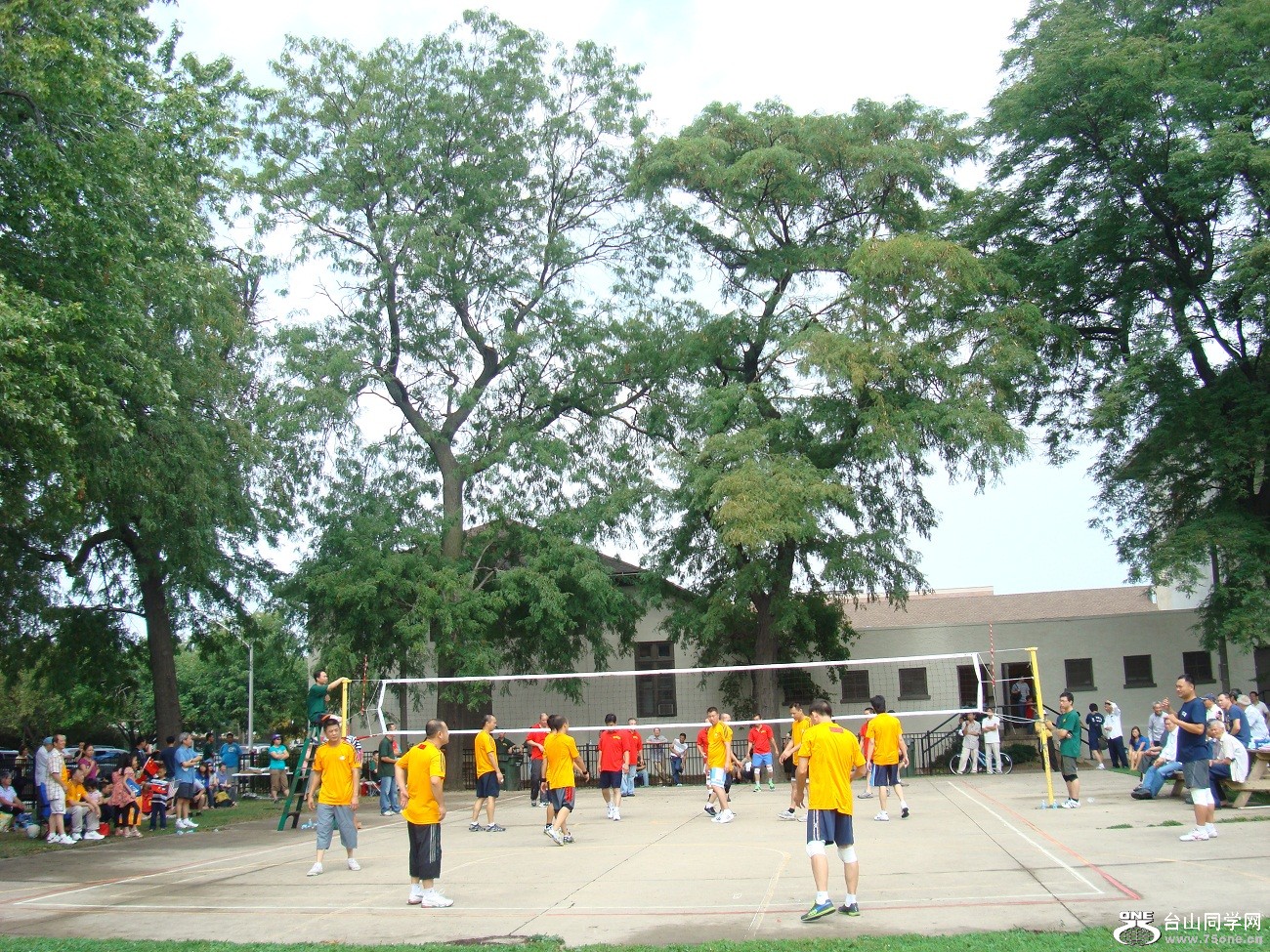 2608.jpg