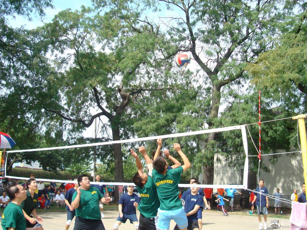 2610.jpg
