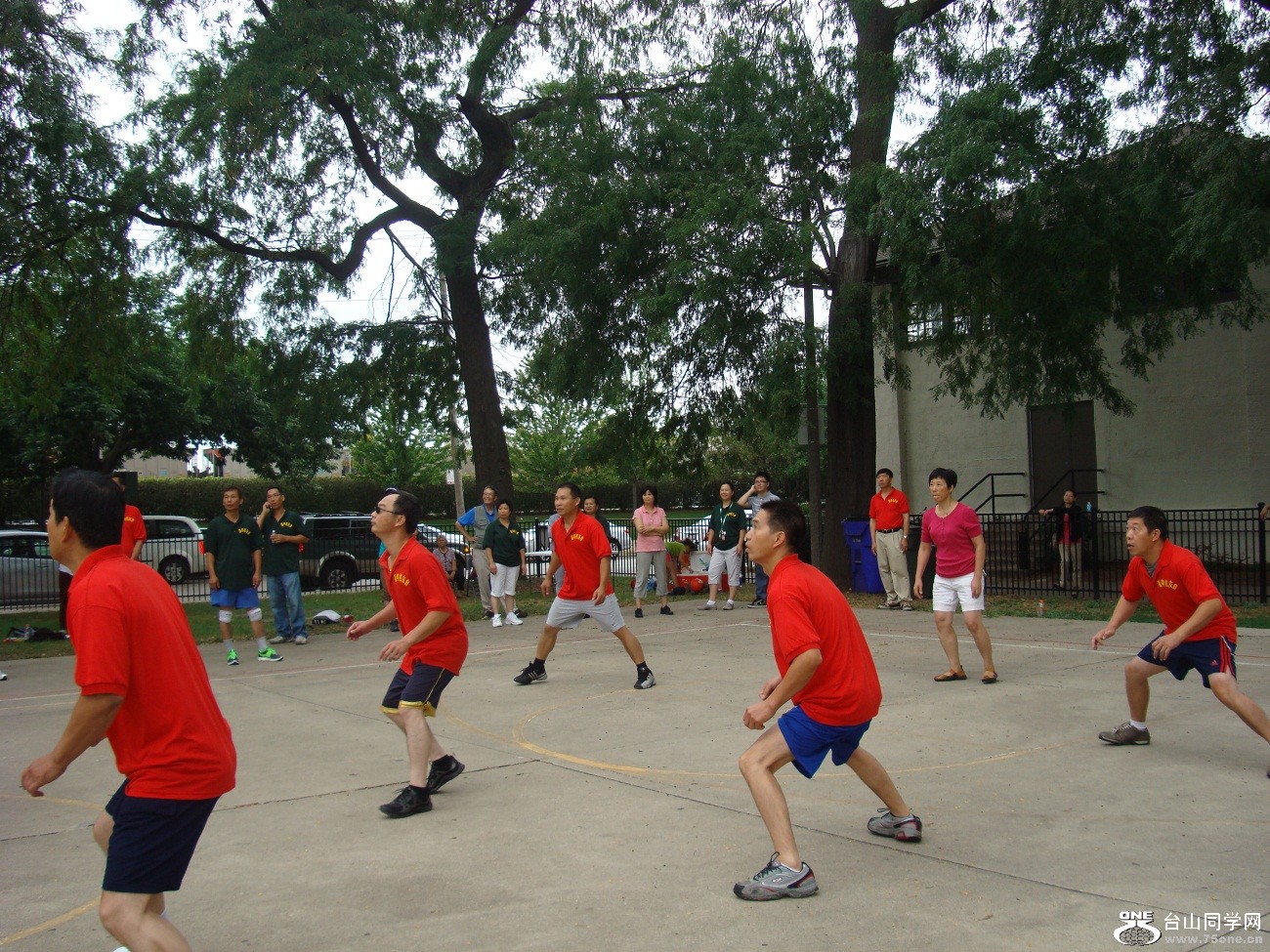2497.jpg