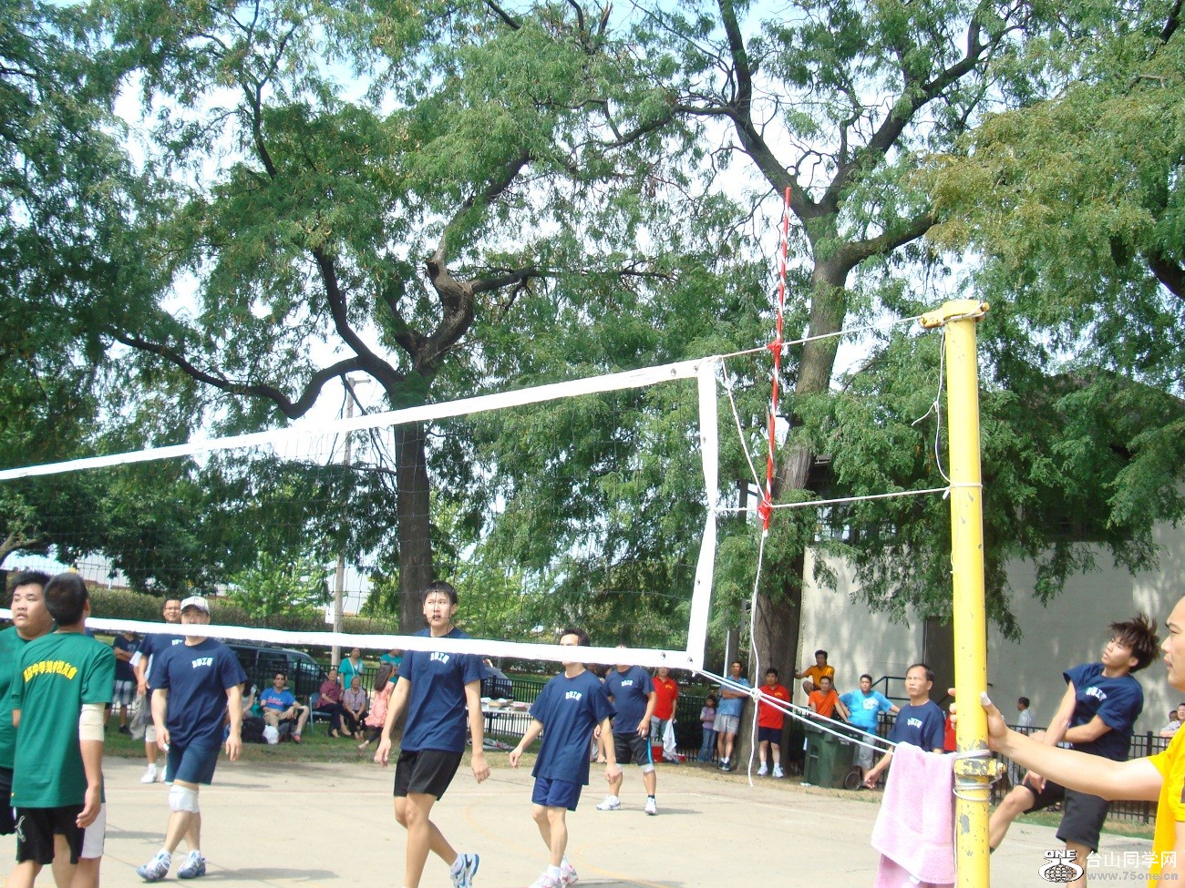 2611.jpg