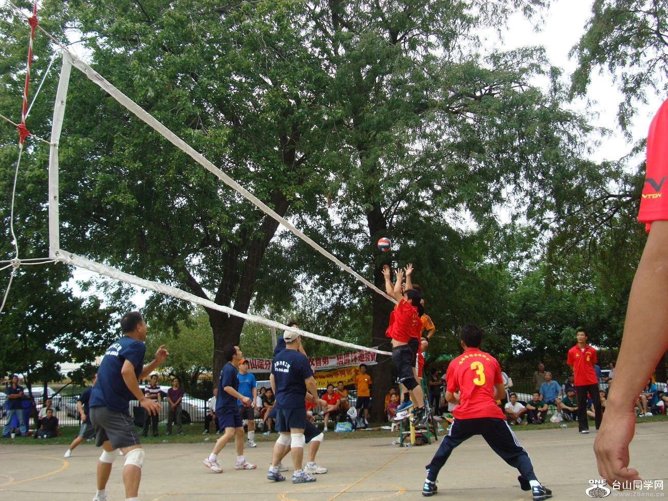 2681.jpg