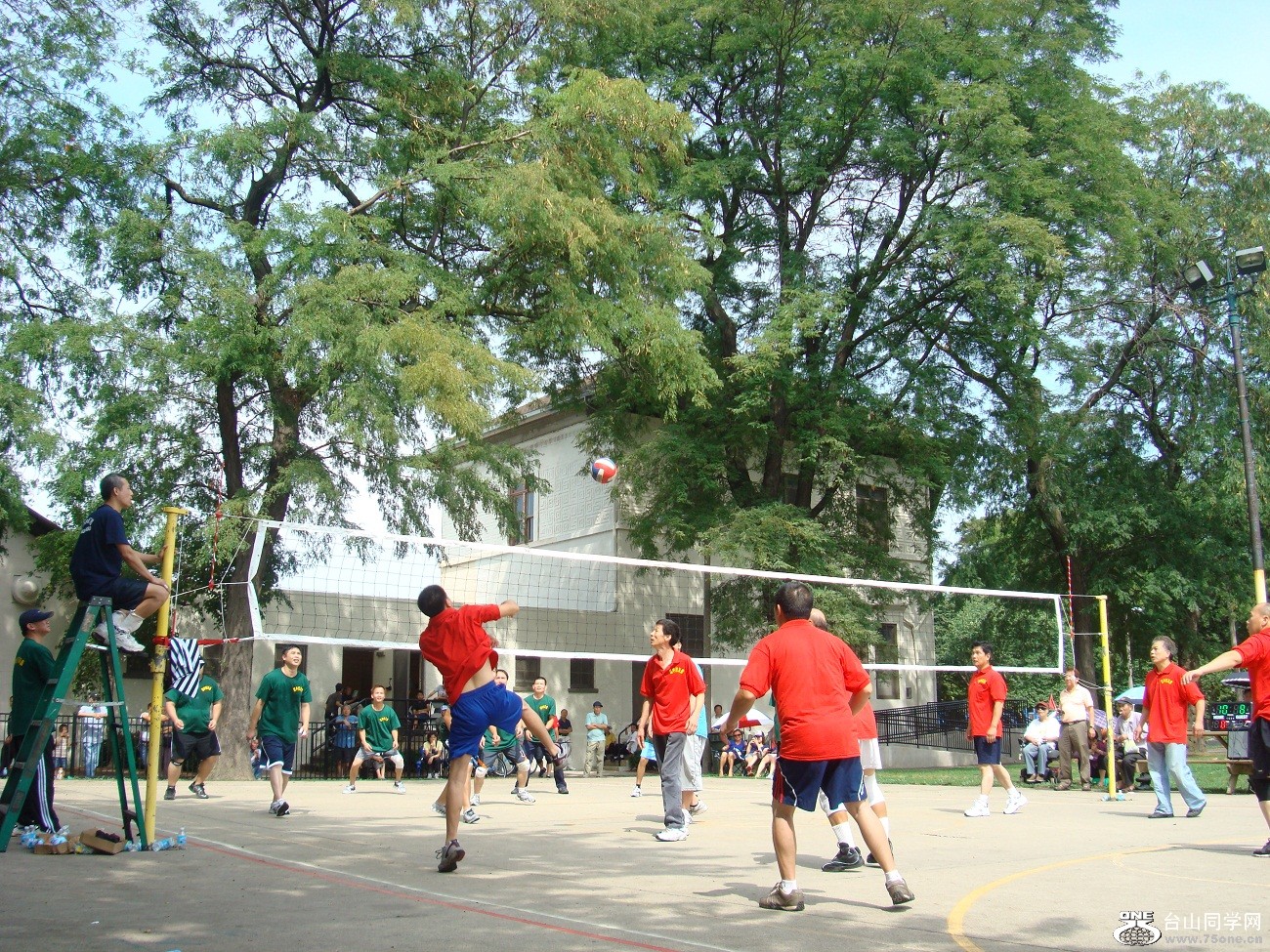 2631.jpg