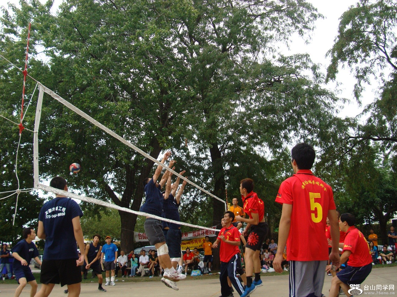 2680.jpg