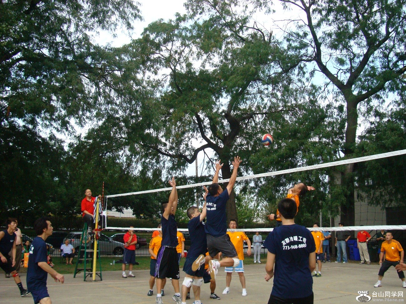 2485.jpg